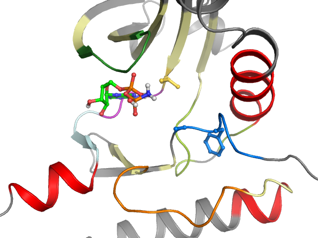 The orthosteric binding pocket