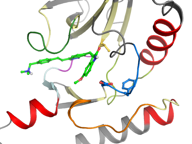 The orthosteric binding pocket