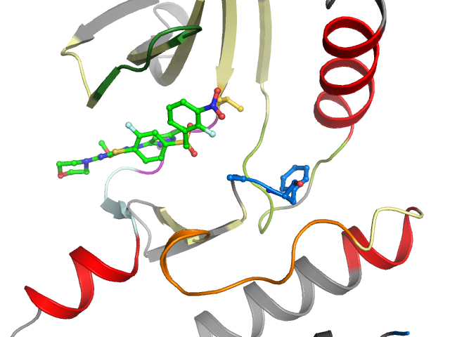 The orthosteric binding pocket