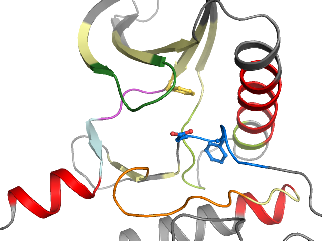 The orthosteric binding pocket
