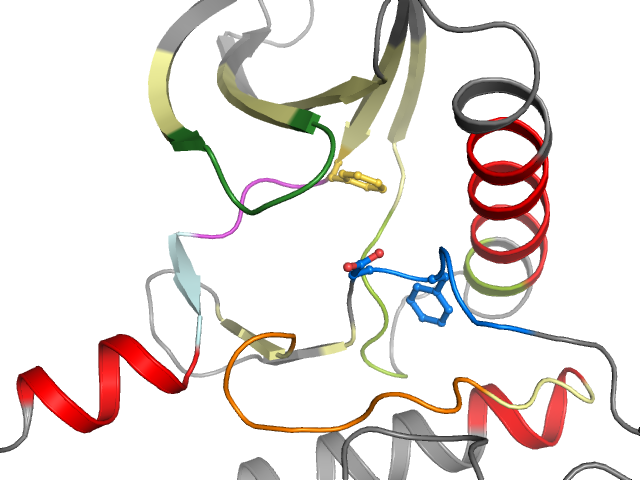 The orthosteric binding pocket