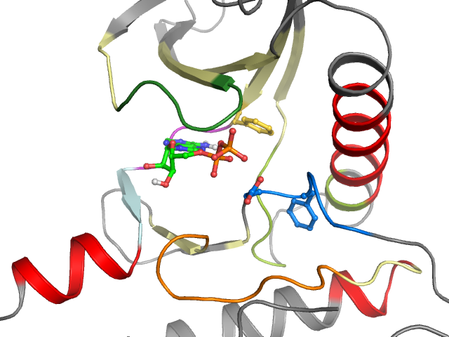 The orthosteric binding pocket