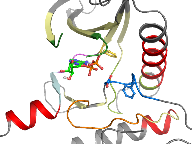 The orthosteric binding pocket