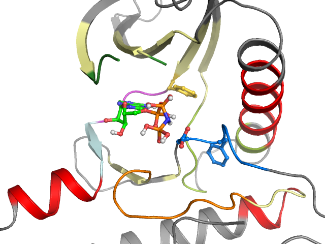 The orthosteric binding pocket