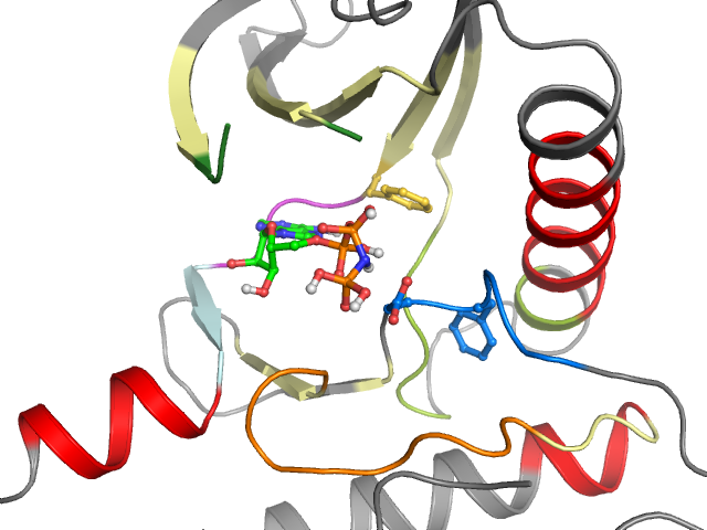The orthosteric binding pocket