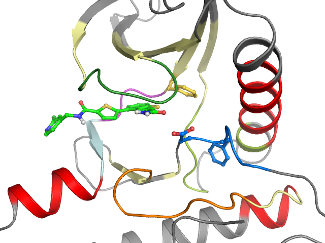 The orthosteric binding pocket