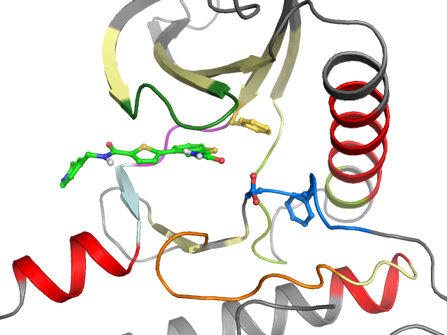 The orthosteric binding pocket