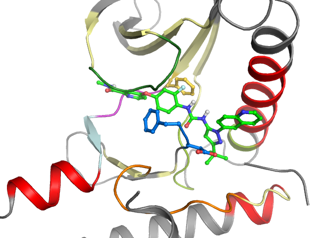 The orthosteric binding pocket