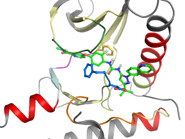 The orthosteric binding pocket