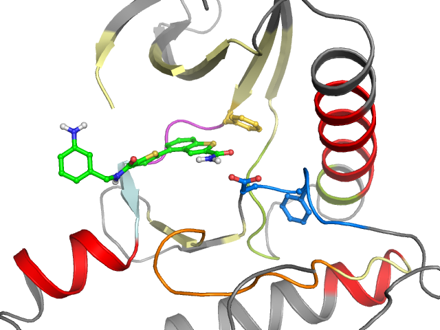 The orthosteric binding pocket