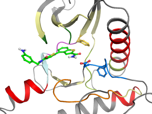 The orthosteric binding pocket