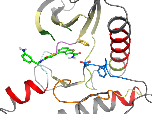 The orthosteric binding pocket