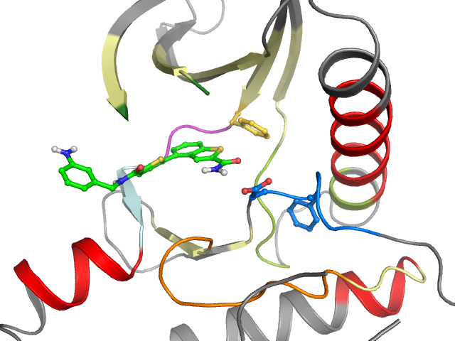 The orthosteric binding pocket