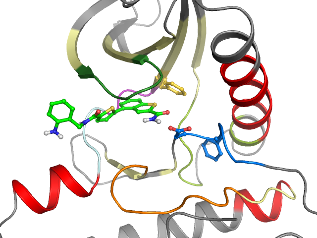 The orthosteric binding pocket