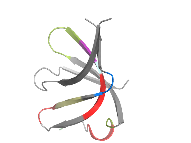 The orthosteric binding pocket