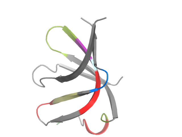 The orthosteric binding pocket