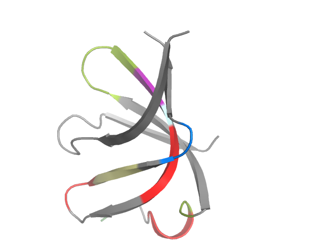 The orthosteric binding pocket