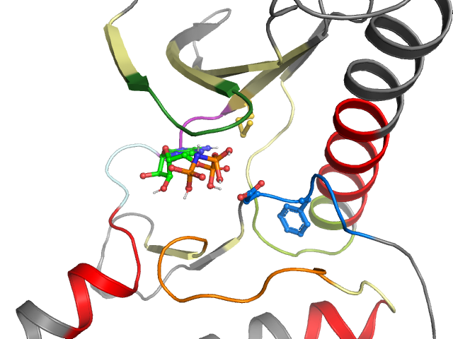 The orthosteric binding pocket