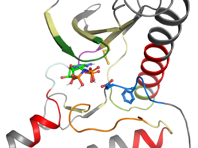The orthosteric binding pocket