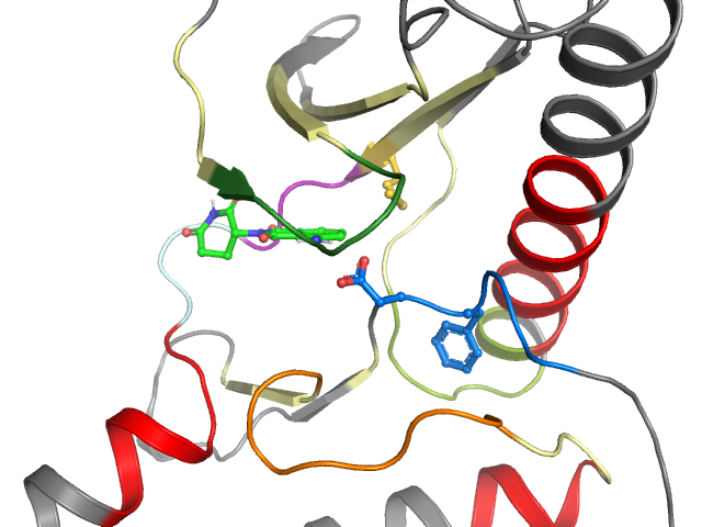 The orthosteric binding pocket