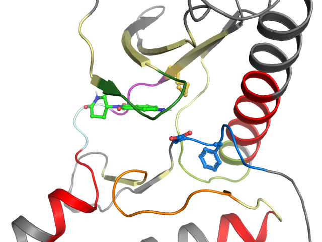 The orthosteric binding pocket