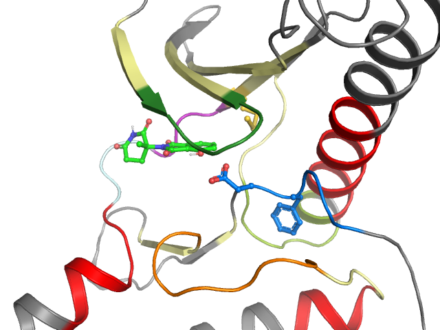 The orthosteric binding pocket