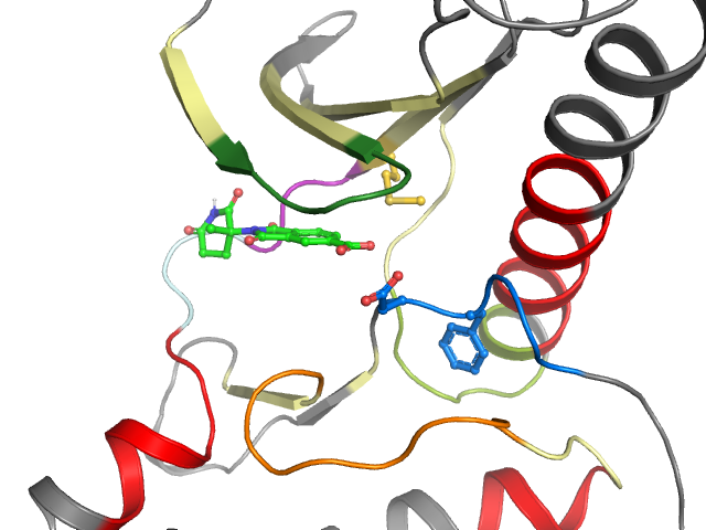 The orthosteric binding pocket