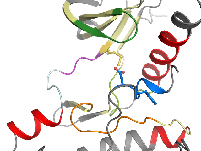 The orthosteric binding pocket