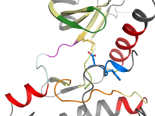 The orthosteric binding pocket