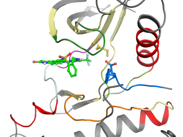 The orthosteric binding pocket