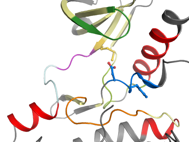 The orthosteric binding pocket