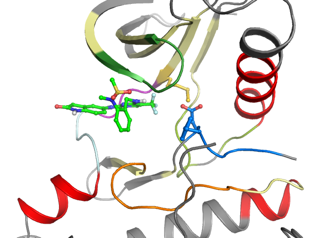 The orthosteric binding pocket