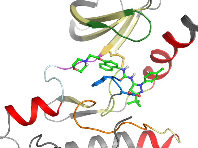 The orthosteric binding pocket