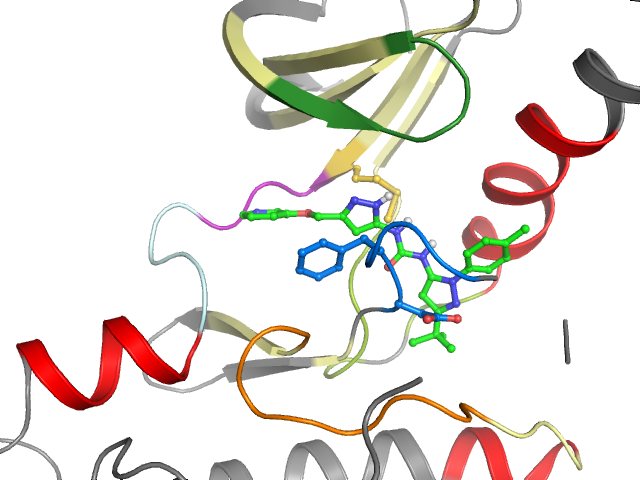 The orthosteric binding pocket