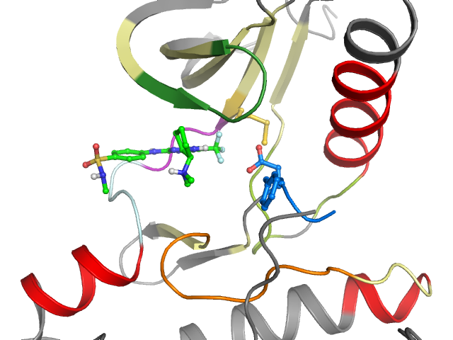 The orthosteric binding pocket