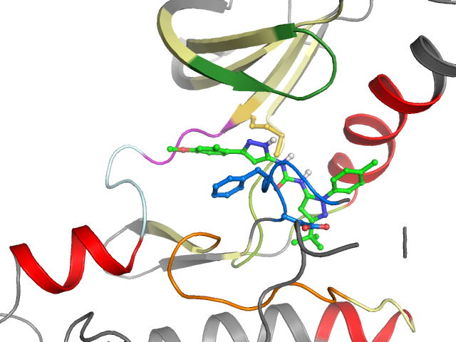 The orthosteric binding pocket