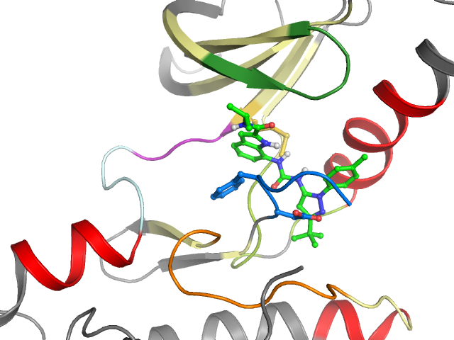 The orthosteric binding pocket
