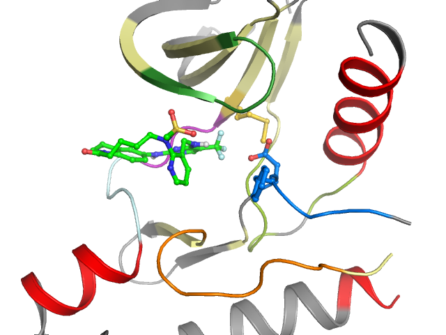 The orthosteric binding pocket