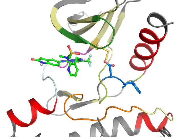 The orthosteric binding pocket