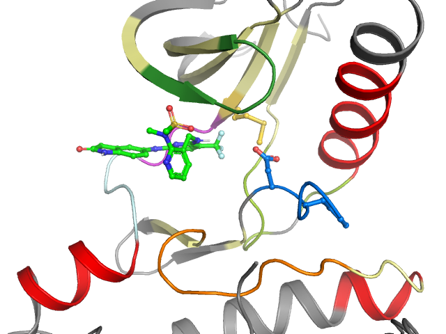 The orthosteric binding pocket