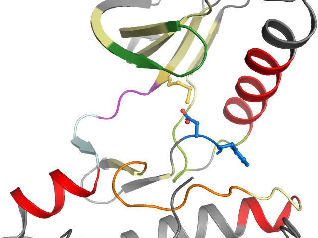The orthosteric binding pocket
