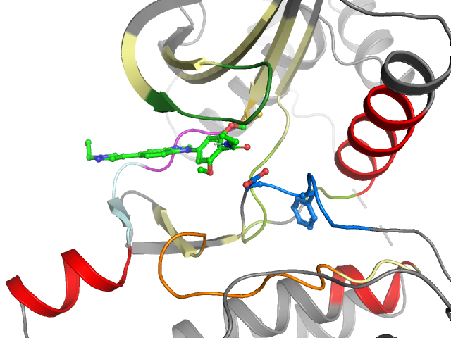 The orthosteric binding pocket