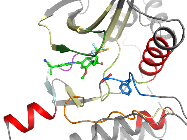 The orthosteric binding pocket