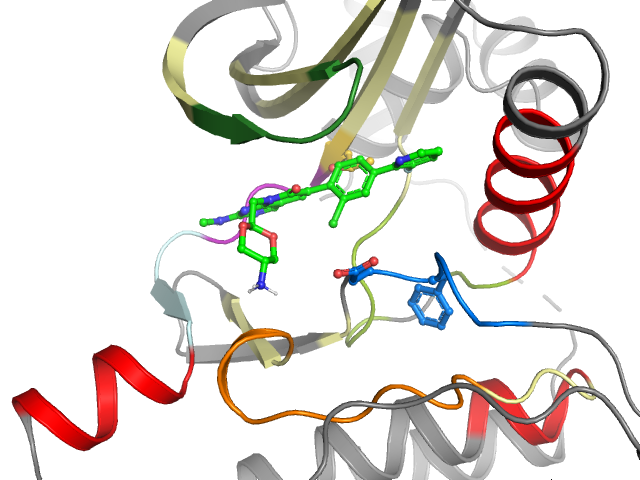 The orthosteric binding pocket