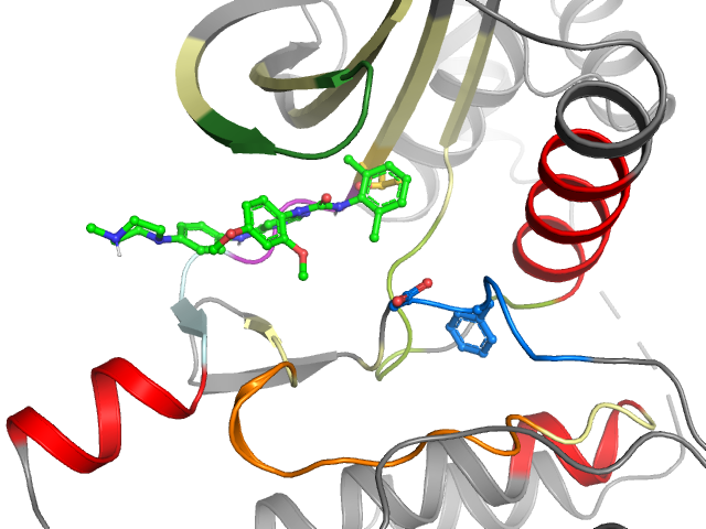 The orthosteric binding pocket