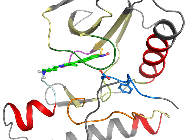 The orthosteric binding pocket