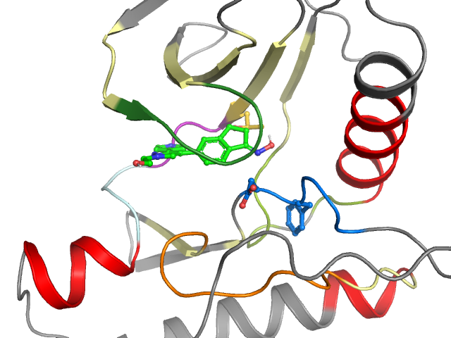 The orthosteric binding pocket