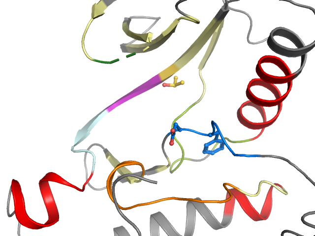 The orthosteric binding pocket