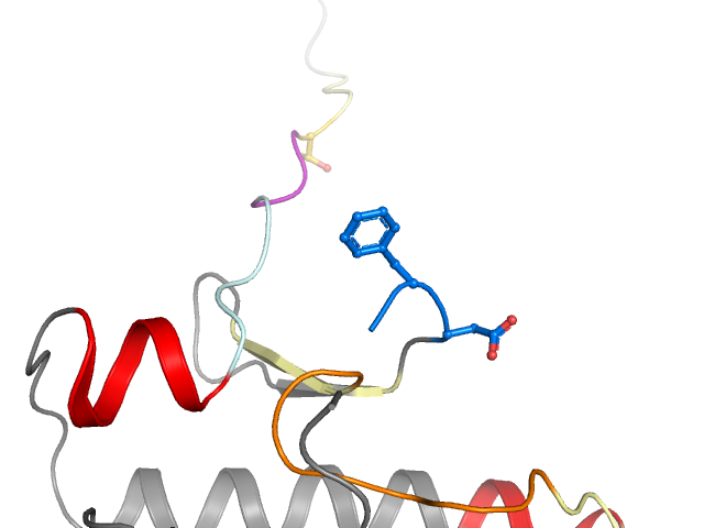 The orthosteric binding pocket