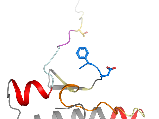 The orthosteric binding pocket